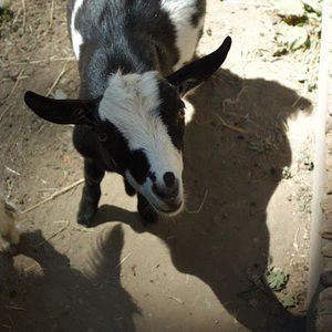 Meet your Posher, Djuna